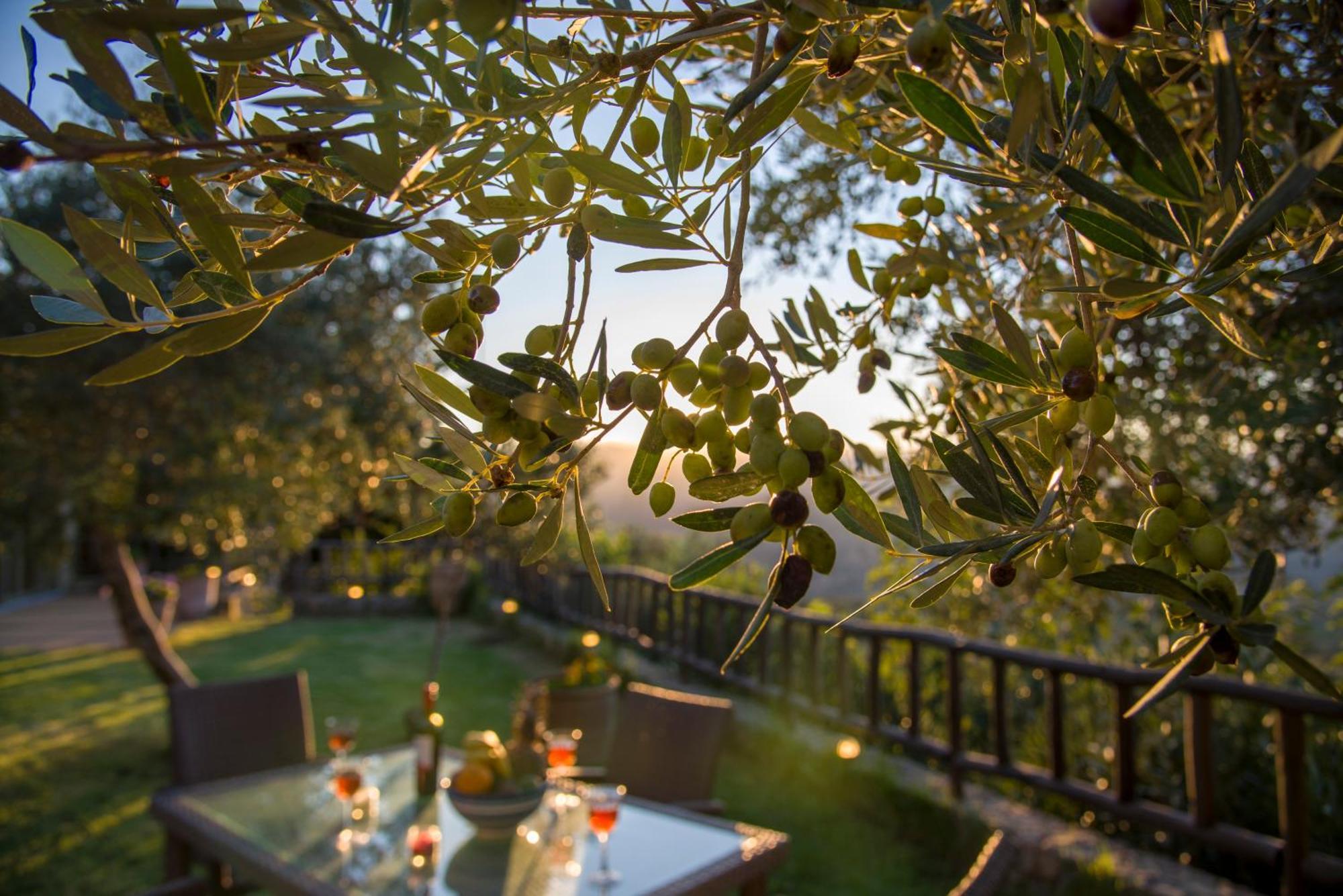 Malathiros Traditional Villas Luaran gambar